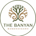circle logo